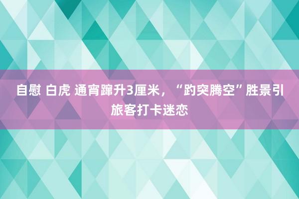 自慰 白虎 通宵蹿升3厘米，“趵突腾空”胜景引旅客打卡迷恋