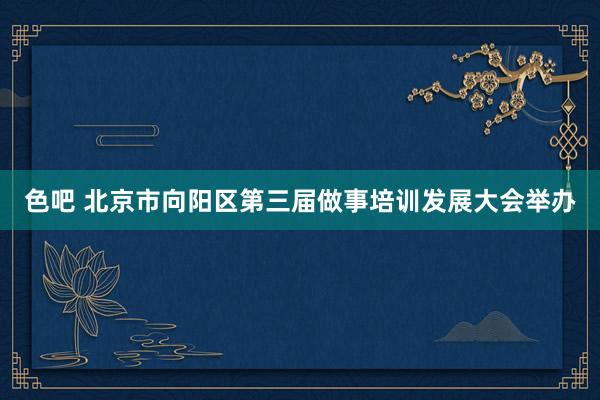 色吧 北京市向阳区第三届做事培训发展大会举办
