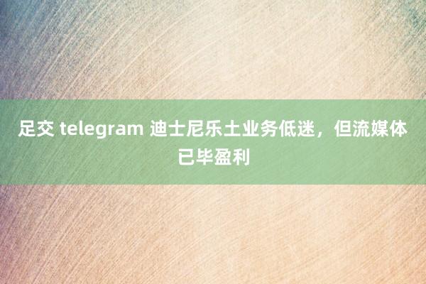足交 telegram 迪士尼乐土业务低迷，但流媒体已毕盈利