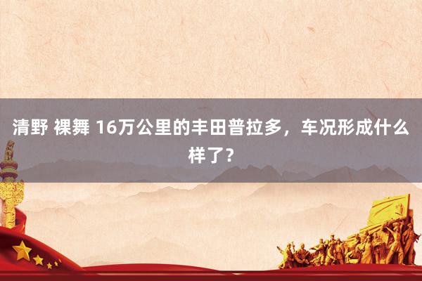 清野 裸舞 16万公里的丰田普拉多，车况形成什么样了？