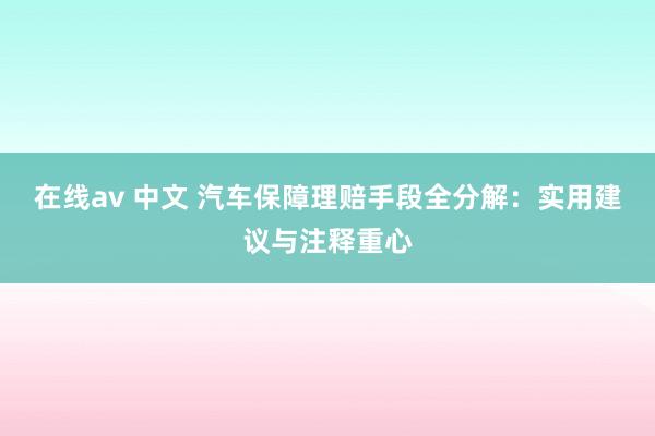 在线av 中文 汽车保障理赔手段全分解：实用建议与注释重心