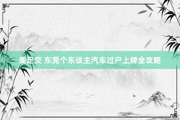 美足交 东莞个东谈主汽车过户上牌全攻略