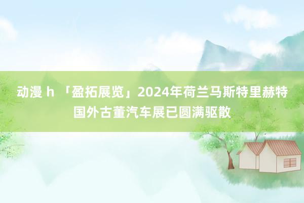 动漫 h 「盈拓展览」2024年荷兰马斯特里赫特国外古董汽车展已圆满驱散