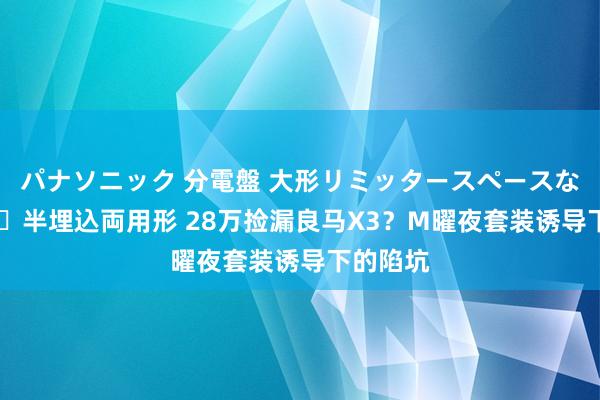パナソニック 分電盤 大形リミッタースペースなし 露出・半埋込両用形 28万捡漏良马X3？M曜夜套装诱导下的陷坑
