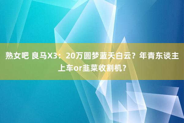 熟女吧 良马X3：20万圆梦蓝天白云？年青东谈主上车or韭菜收割机？