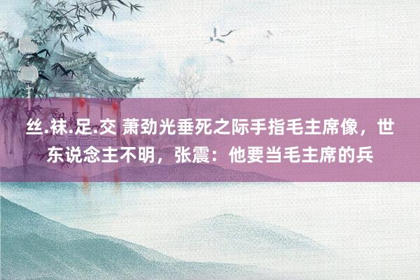 丝.袜.足.交 萧劲光垂死之际手指毛主席像，世东说念主不明，张震：他要当毛主席的兵
