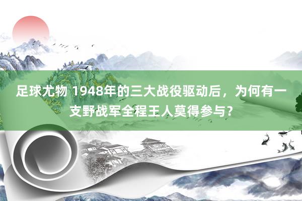 足球尤物 1948年的三大战役驱动后，为何有一支野战军全程王人莫得参与？