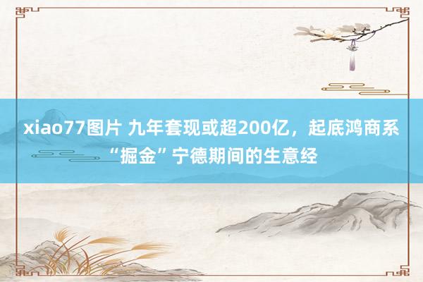 xiao77图片 九年套现或超200亿，起底鸿商系“掘金”宁德期间的生意经