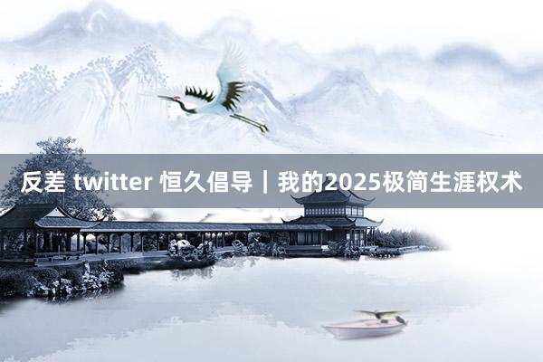 反差 twitter 恒久倡导|我的2025极简生涯权术