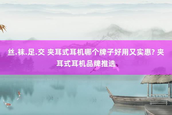 丝.袜.足.交 夹耳式耳机哪个牌子好用又实惠? 夹耳式耳机品牌推选