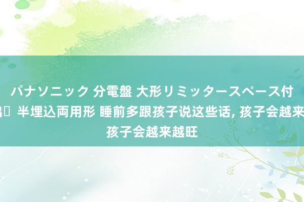 パナソニック 分電盤 大形リミッタースペース付 露出・半埋込両用形 睡前多跟孩子说这些话, 孩子会越来越旺