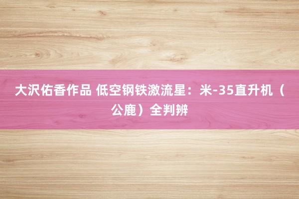 大沢佑香作品 低空钢铁激流星：米-35直升机（公鹿）全判辨
