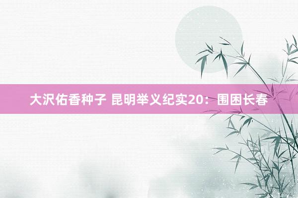 大沢佑香种子 昆明举义纪实20：围困长春