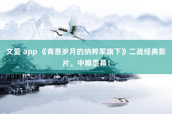 文爱 app 《青葱岁月的纳粹军旗下》二战经典影片。中翰墨幕！