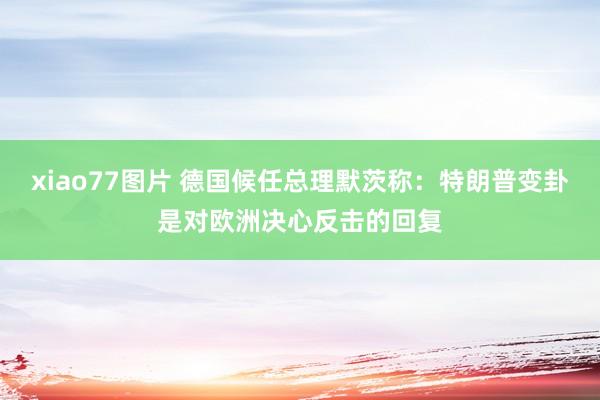 xiao77图片 德国候任总理默茨称：特朗普变卦是对欧洲决心反击的回复