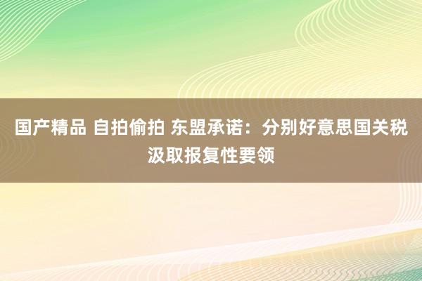 国产精品 自拍偷拍 东盟承诺：分别好意思国关税汲取报复性要领