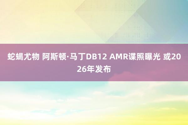 蛇蝎尤物 阿斯顿·马丁DB12 AMR谍照曝光 或2026年发布