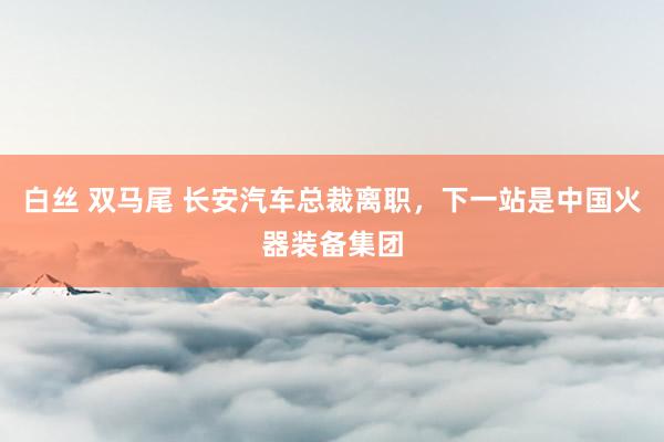 白丝 双马尾 长安汽车总裁离职，下一站是中国火器装备集团