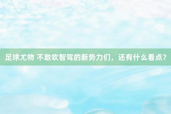 足球尤物 不敢吹智驾的新势力们，还有什么看点？