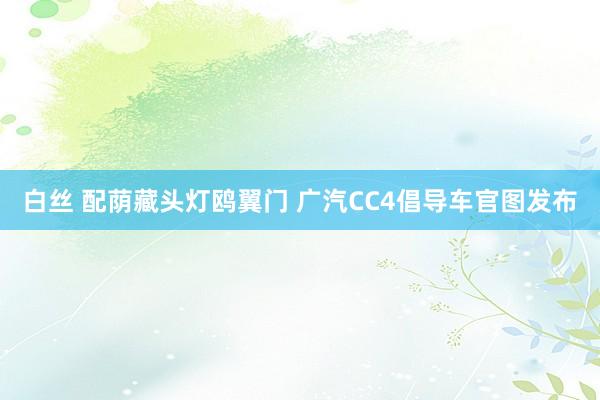 白丝 配荫藏头灯鸥翼门 广汽CC4倡导车官图发布